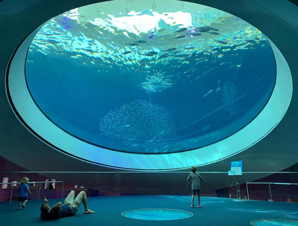 Children watching sea animals at a large aquarium in Miami.