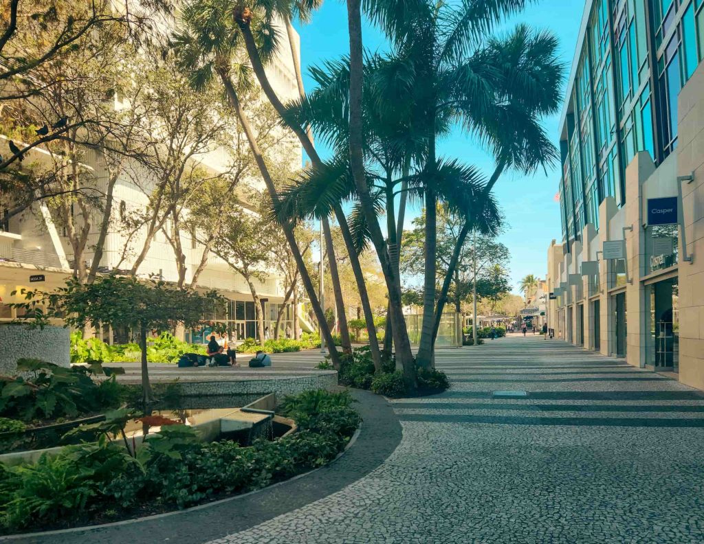 Shoppers walking through a palm-lined upscale shopping area in fl, Miami neighborhood guides